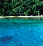 fiji travel information